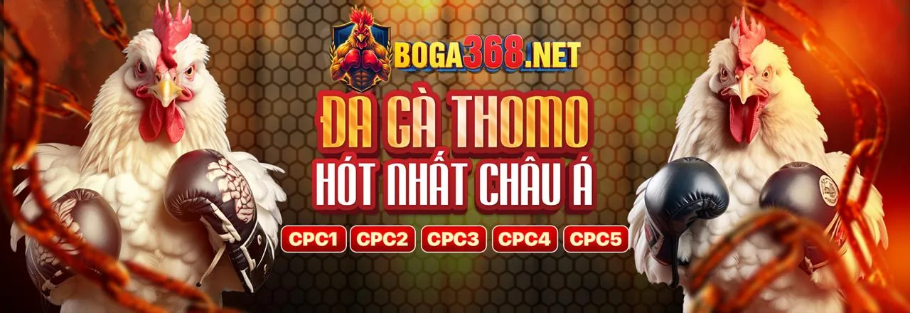 Hình ảnh chính về tin tức SCV288 nhà cái với các sự kiện và ưu đãi