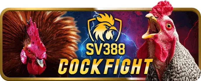 Quà tặng sinh nhật VIP SCV288 nhà cái
